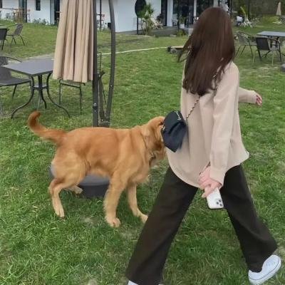 针孔旅社